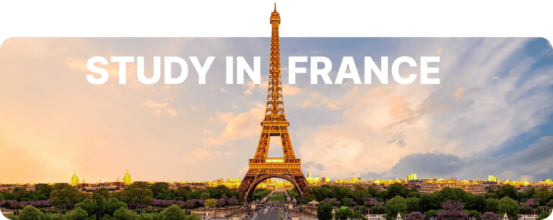 Study in France